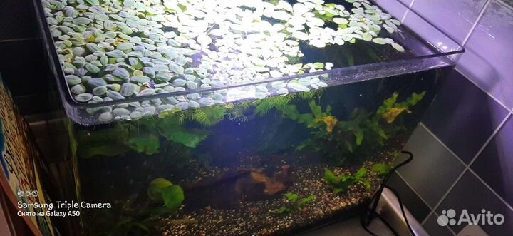 Аквариум 45 литров