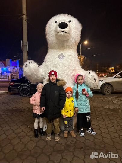 Белый мишка поздравление