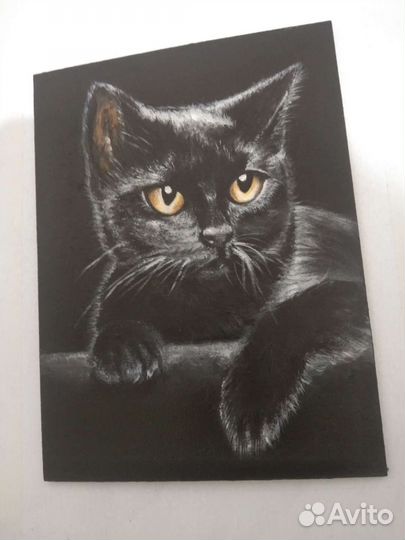 Картина. Кошка