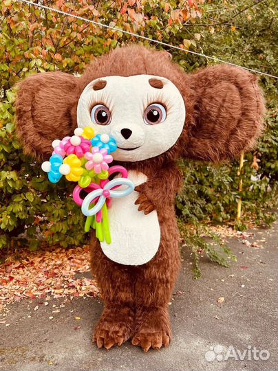 Поздравление от Чебурашки, аниматоры