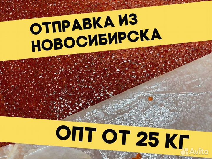 Красная икра нерки, улов июнь 2023