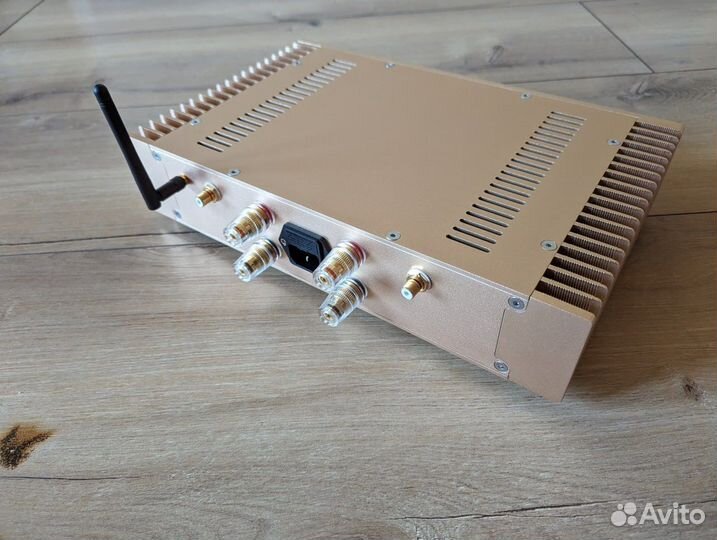 Gold Castom Amplifier