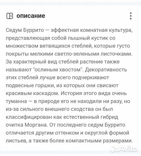 Крассула и седум Буррито