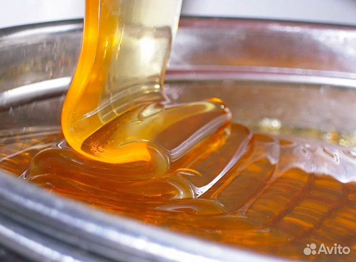 Мед Лесной опт