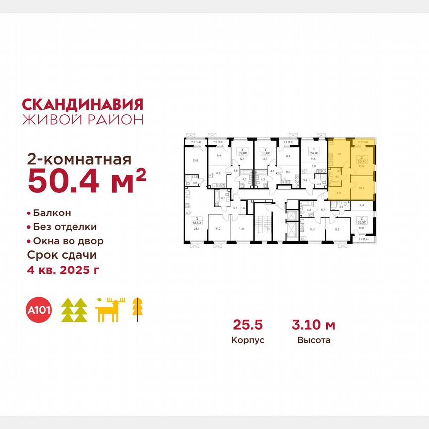 2-к. квартира, 50,4 м², 2/17 эт.