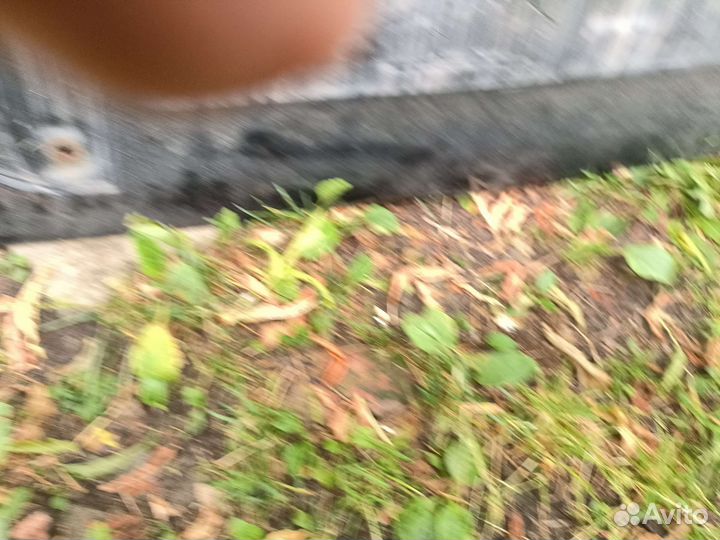 Крышка (дверь) багажника Туксон 2008