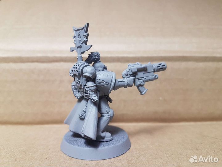 Капитан космических волков