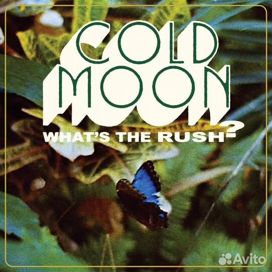 Cold Moon - What's The Rush