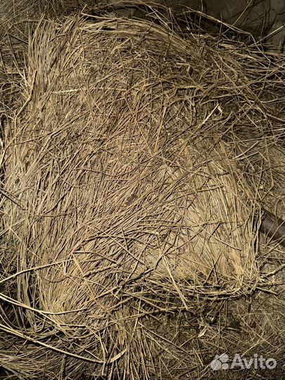 Сено в тюках