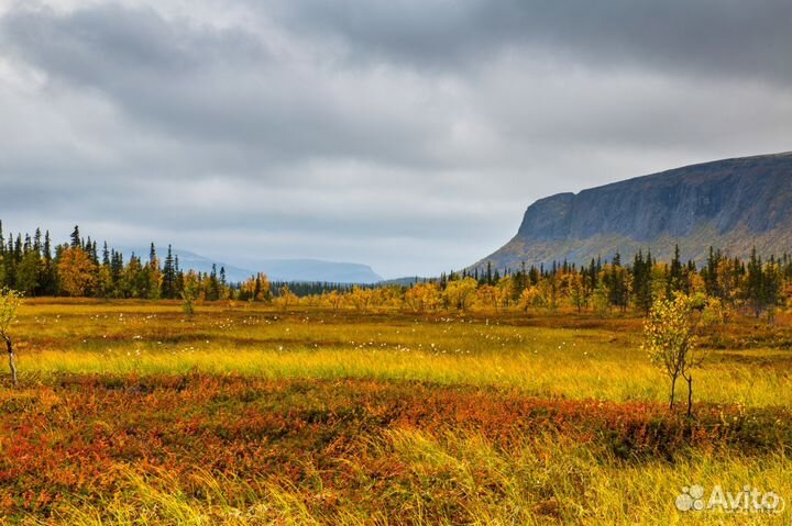 Отдых Кольский полуостров