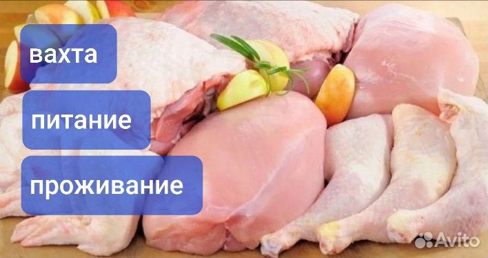 Работа вахтой Белгород упаковщик с жильём