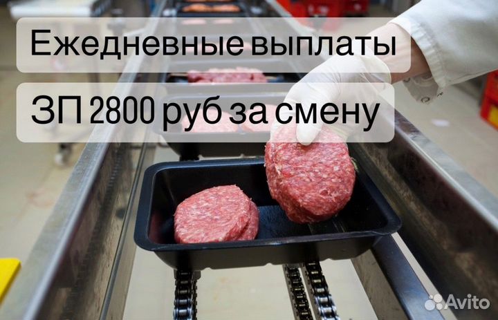 Укладчик упаковщик