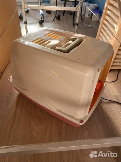 Персидская кошка в добрые руки