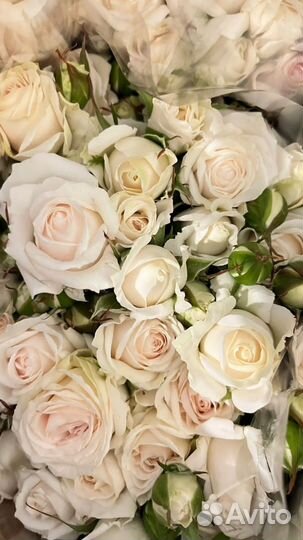 Цветы оптом. Розы, букеты, с доставкой от склада