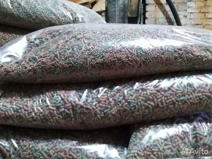 Корм для карпа Кои