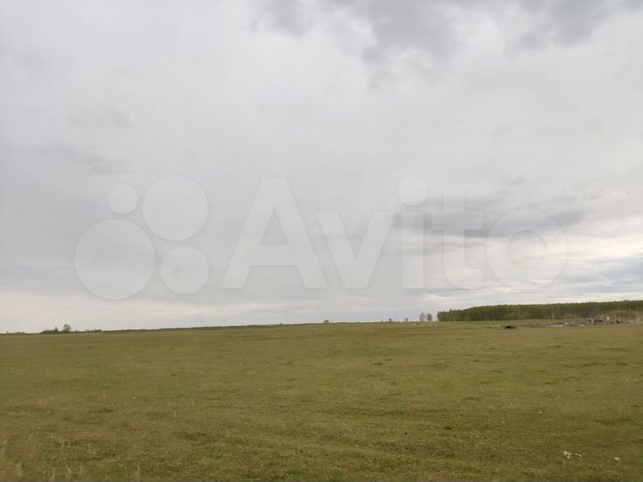 Участок 33 га (ИЖС)