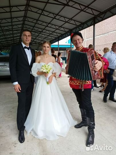 Баянист певец ведущий