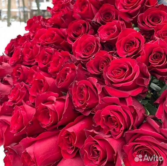 Розы высокие Доставка цветов