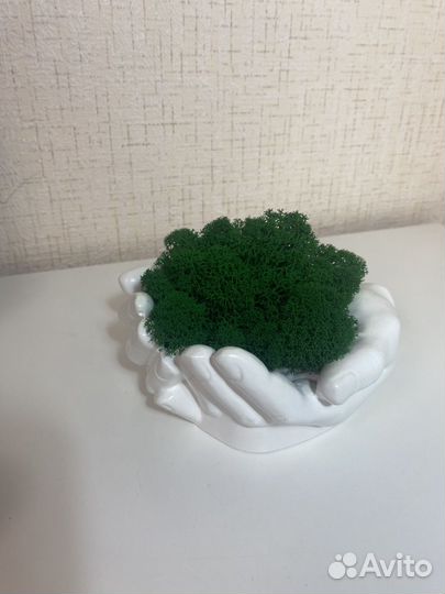 Стабилизированый мох в кашпо, гипсовые фигуры
