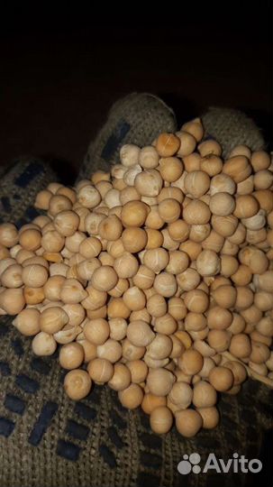 Нут в розницу