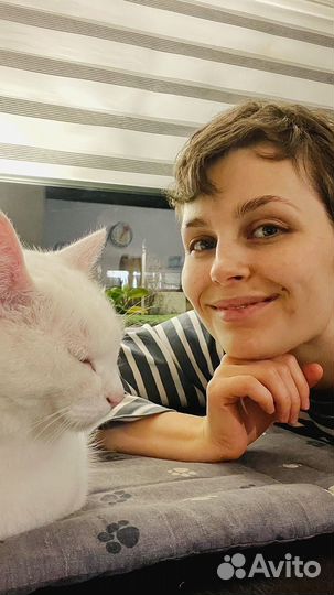 Друг слушатель собеседник на час