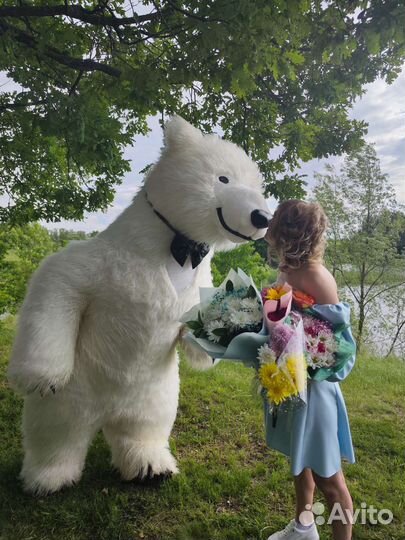 Медведь на праздник. Белый медведь на праздник