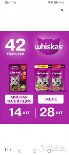 Влажный корм для кошек