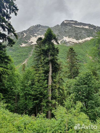 Архыз - семейный лагерь для детей и их родителей