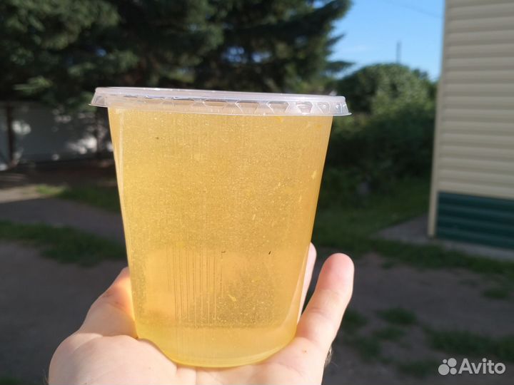 Мед эспарцет