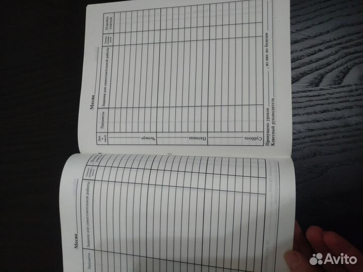 Дневник с Жириновским