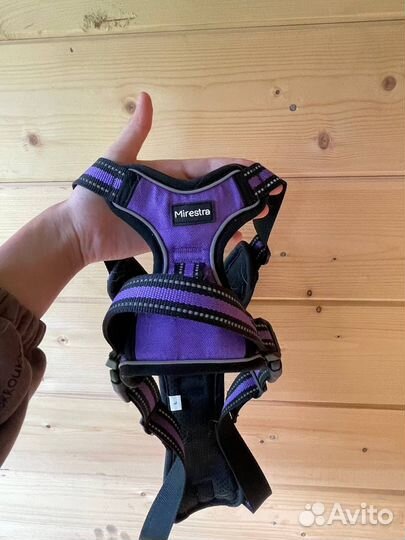 Амунция для собак