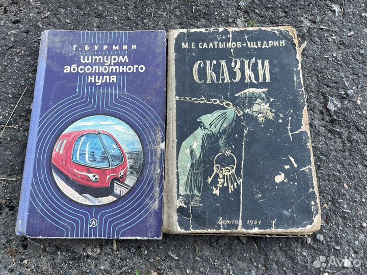 Штурм абсолютного нуля, Салтыков Щедрин