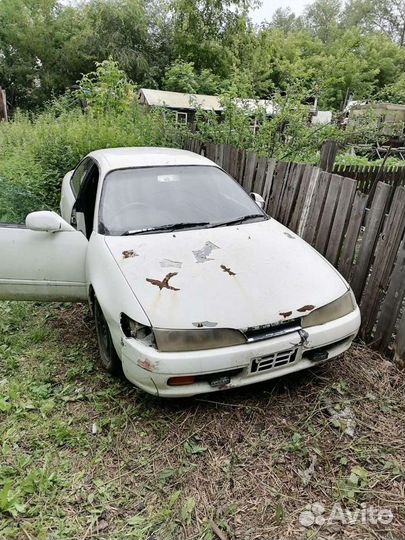 Toyota corolla ceres