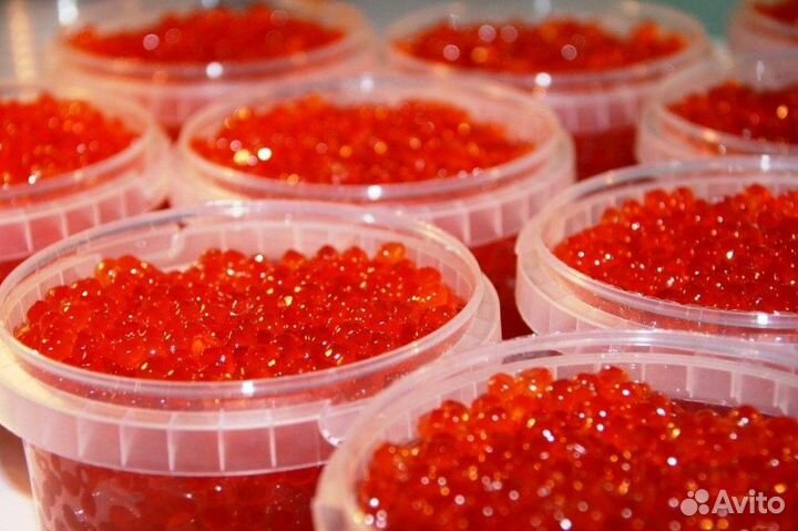 Икра Свежий вылов 2023г