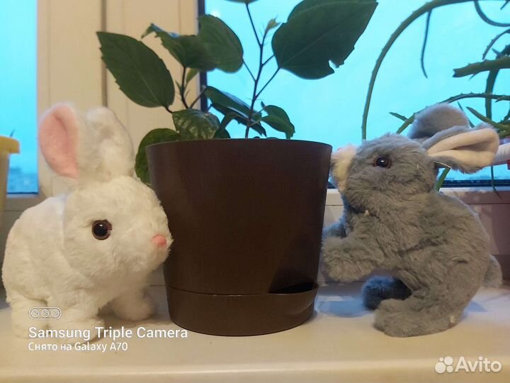 Интерактивная игрушка Кролик повторюшка Хомячок