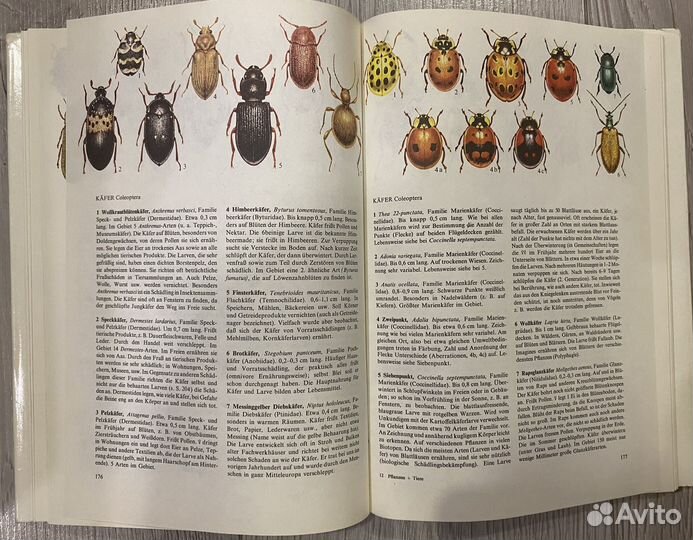 Книга на немецком языке