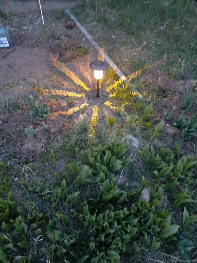 Участок 6,3 сот. (СНТ, ДНП)