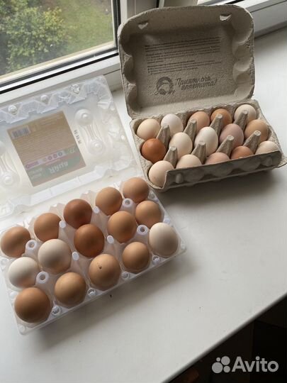 Домашние куриные яйца 30шт