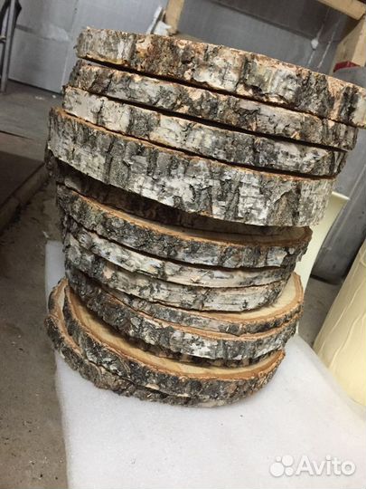 Торцевые спилы деревьев