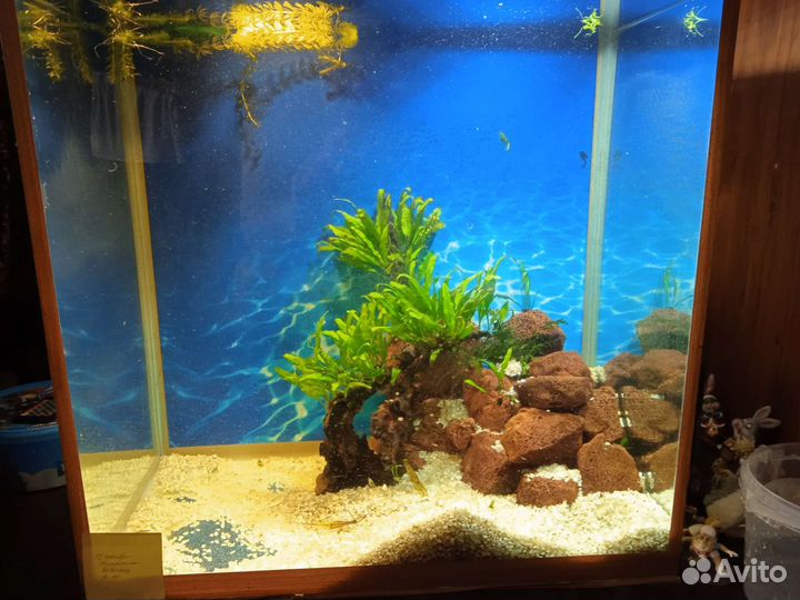 Аквариум