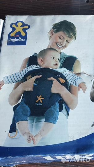 Кенгуру inglesina