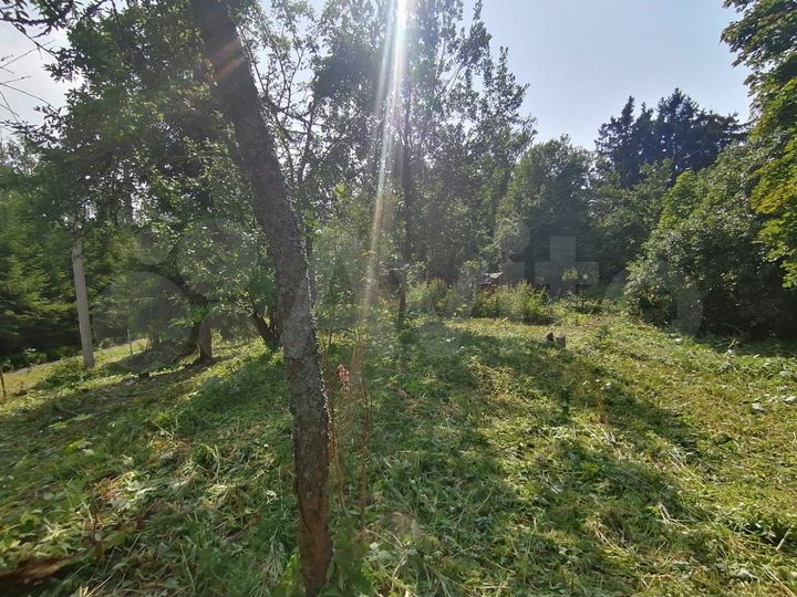 Участок 6 сот. (СНТ, ДНП)