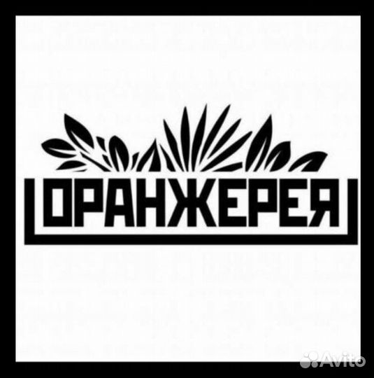 Кассир ресторана