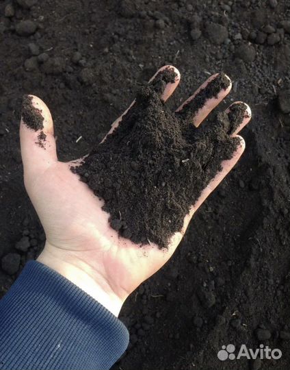Чернозем, плодородный грунт, торф с доставкой