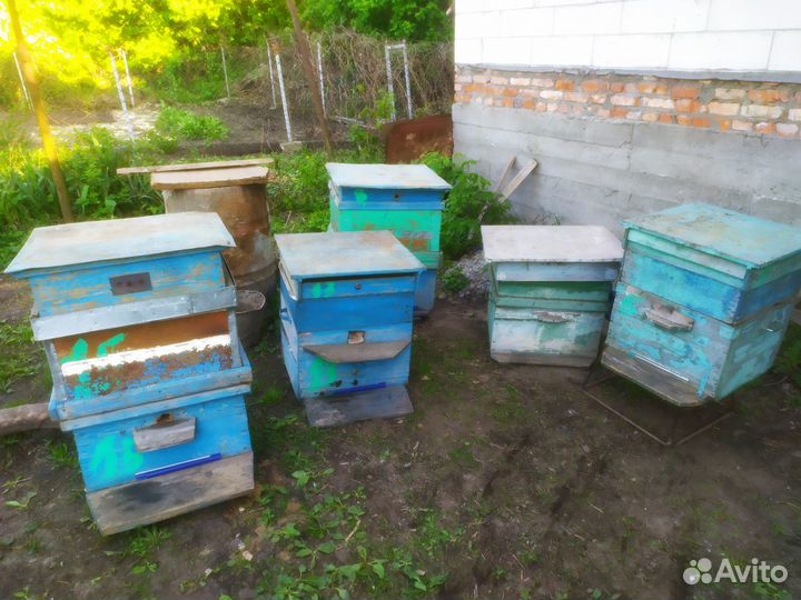 Ульи для пчёл