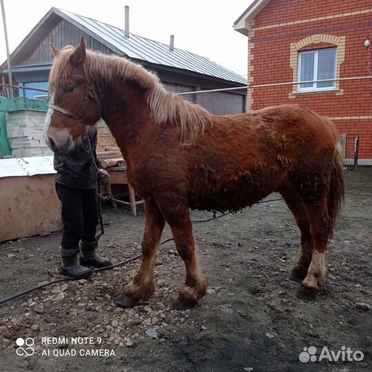 Советский тяжеловоз