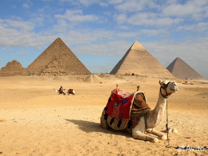 Новогодний тур в Египет
