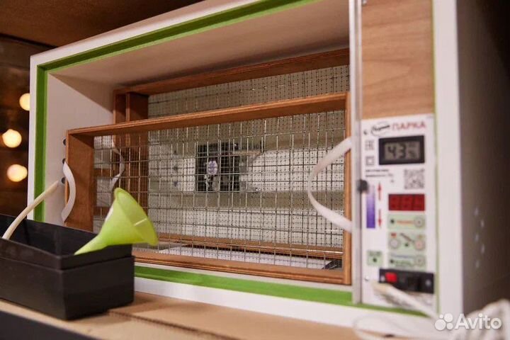 Инкубатор для яиц