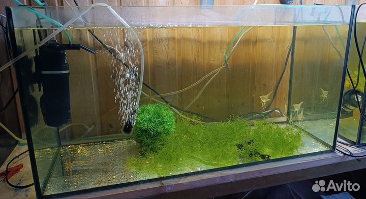 Аквариум