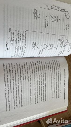 Аллергия и как с ней жить